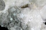 Calcite and Dolomite Crystal Association - China #91074-2